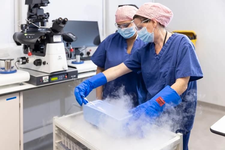 Fertility Preservation